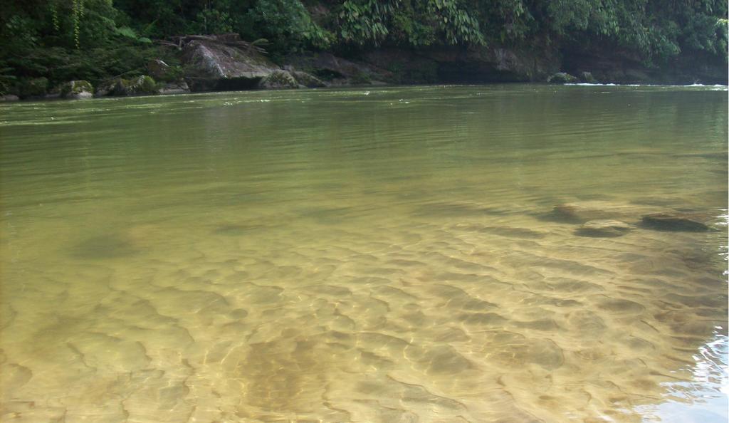 Playa Selva Lodge Archidona Bagian luar foto