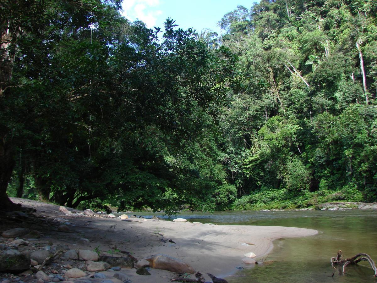 Playa Selva Lodge Archidona Bagian luar foto