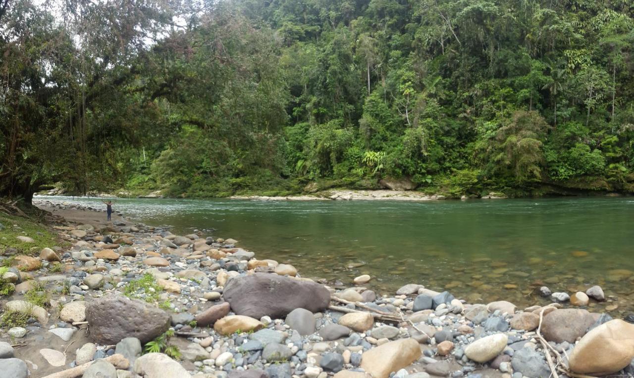 Playa Selva Lodge Archidona Bagian luar foto